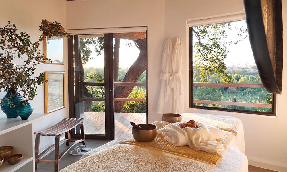 Londolozi Game Reserve