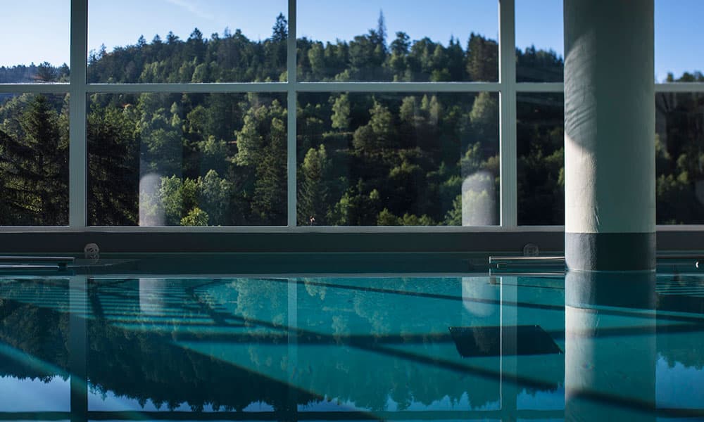 piscine Nature-Spa de La Cheneaudière